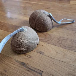 Coconuts
